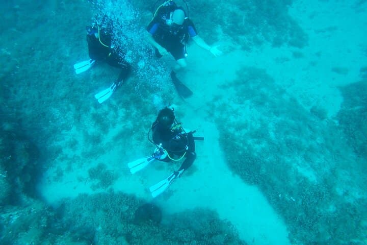 Beginner SSI Intro Dive in Agia Pelagia: 2 Open-Water Dives & Transfer photo 2