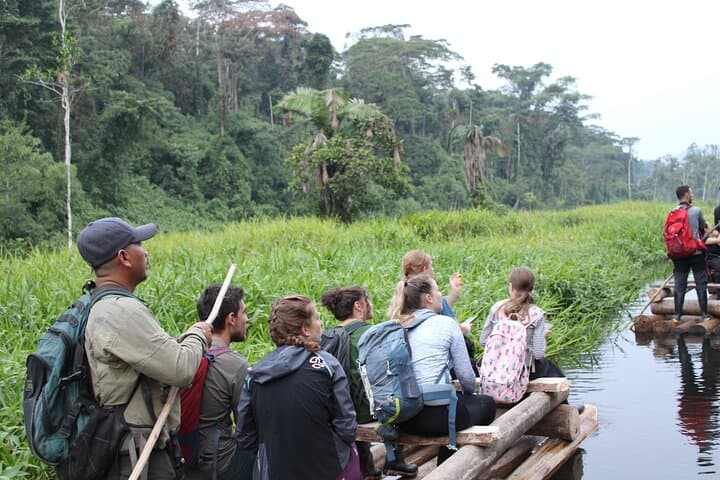 Manu Reserved Zone: 6-Day Amazon Wildlife Expedition from Cusco