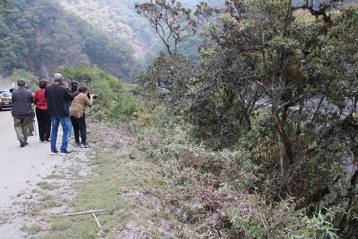 Manu Reserved Zone: 6-Day Amazon Wildlife Expedition from Cusco photo 2