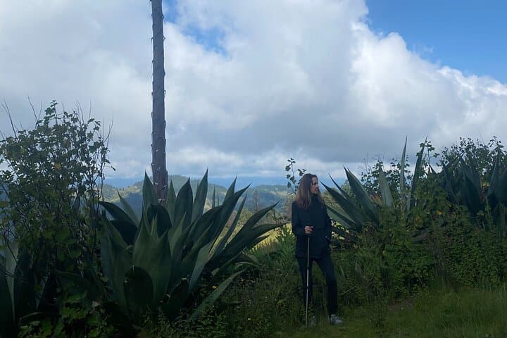 Guided Hike in the Sierra Norte: Cuajimoloyas & Pueblos Mancomunados photo 2