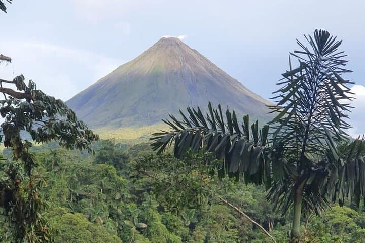 Three-Hour Rainforest Walk in La Fortuna: Wellness Park Guided Hike photo 2