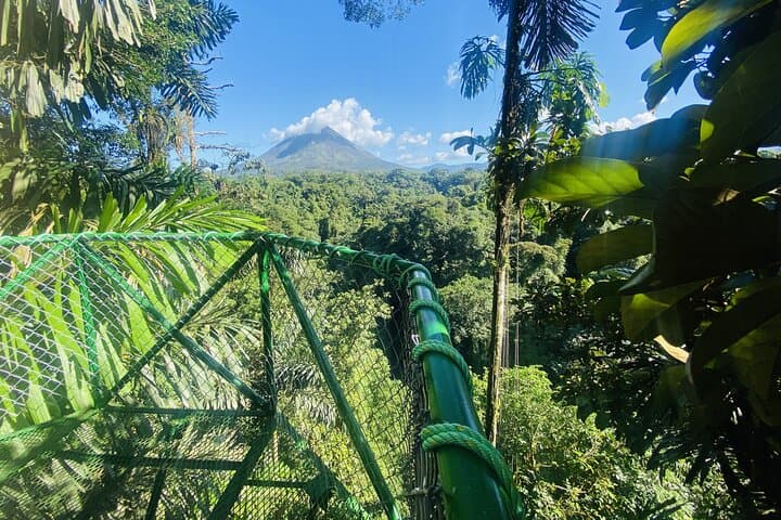 Three-Hour Rainforest Walk in La Fortuna: Wellness Park Guided Hike
