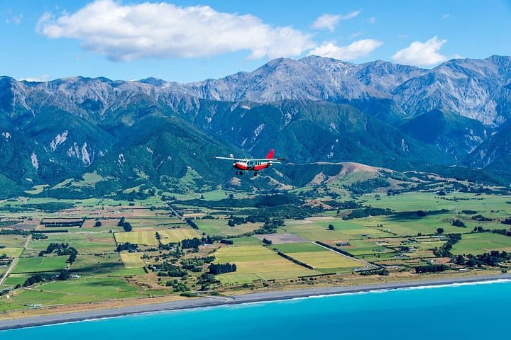 40-Minute Kaikōura Whale Watching Flight — Sperm Whales & Coastal Alps photo 6