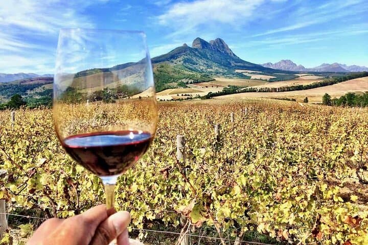 Full-Day Stellenbosch Wine Tour From Cape Town — Cellars, Cheese & Scenic Drives photo 4