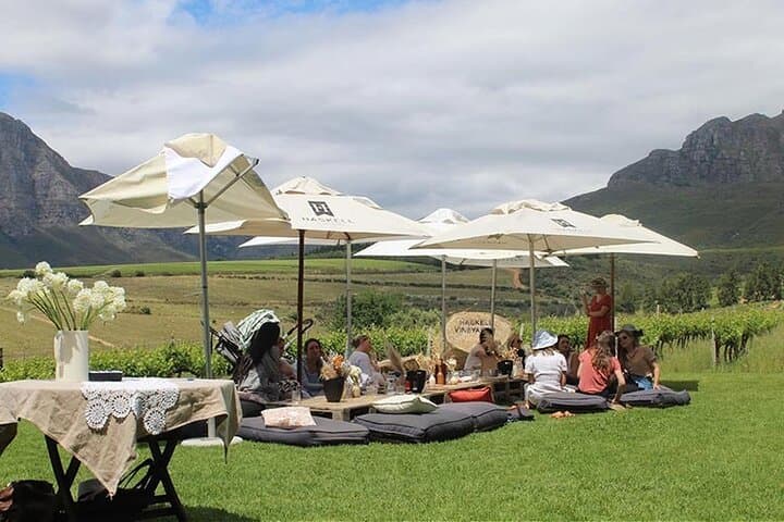 Full-Day Stellenbosch Wine Tour From Cape Town — Cellars, Cheese & Scenic Drives photo 5