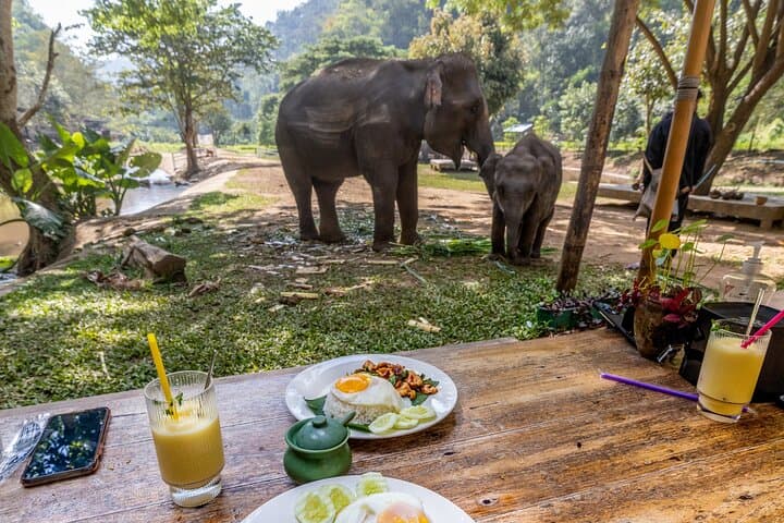 Chiang Mai Scooter Adventure: Elephants, Caves & River Views on Two Wheels photo 2