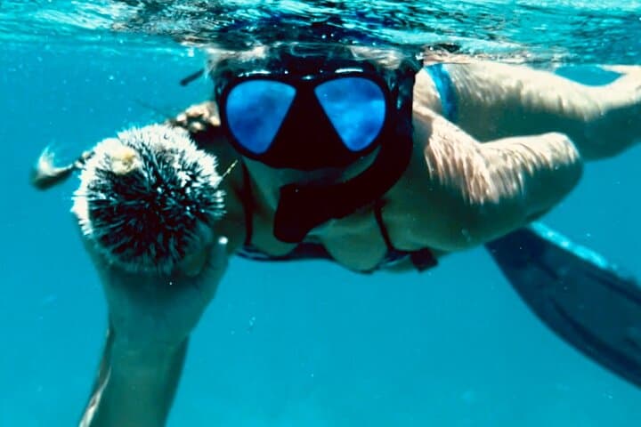 Private Luxury Catamaran Full-Day Charter in St. Thomas — Snorkel, Beaches & Open Bar photo 3