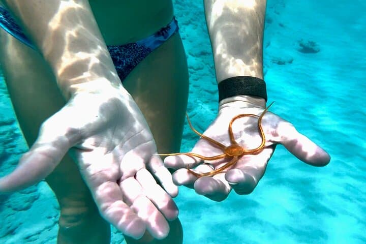 Private Luxury Catamaran Half-Day Charter in St. Thomas — Snorkel Turtle Cove & Honeymoon Beach photo 3