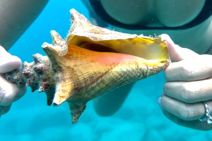 Private Luxury Catamaran Half-Day Charter in St. Thomas — Snorkel Turtle Cove & Honeymoon Beach photo 4