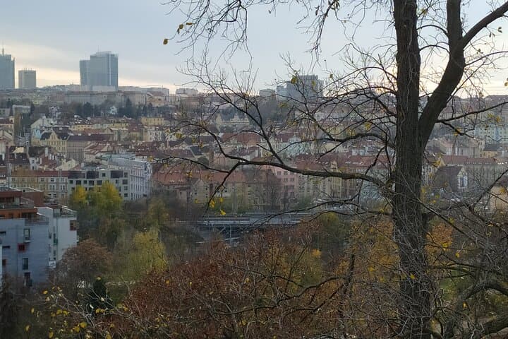 Prague Off-the-Beaten-Path Neighborhoods Walking Tour photo 6