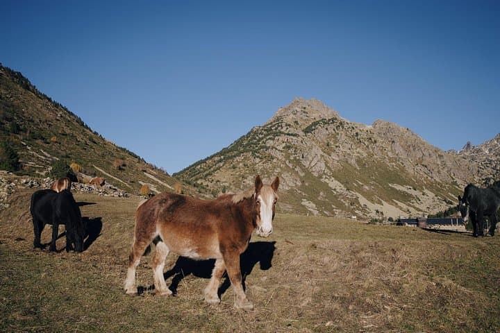 Day Trip to Andorra from Barcelona — Andorra la Vella, Ordino & Roc del Quer