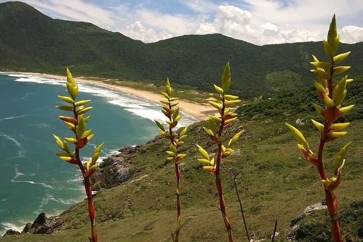 Hike Lagoinha do Leste: Wild Coastal Trail near Florianópolis photo 2