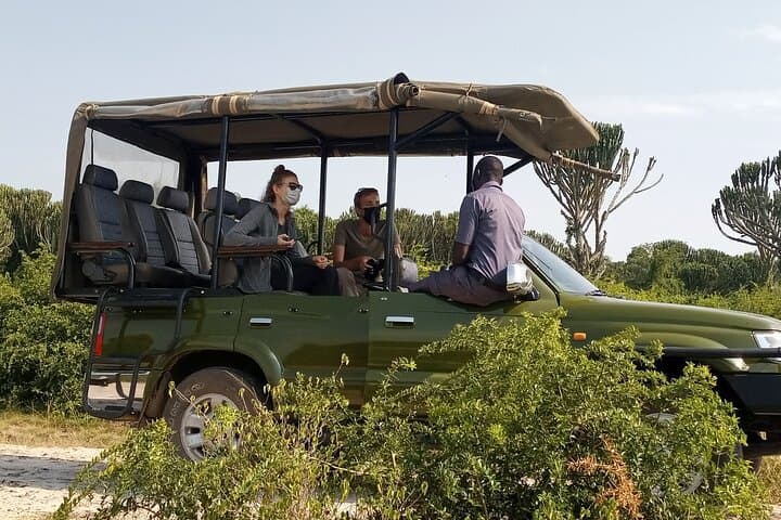 Explore Kenya’s Masai Mara: A Volunteering Safari Adventure with Purpose