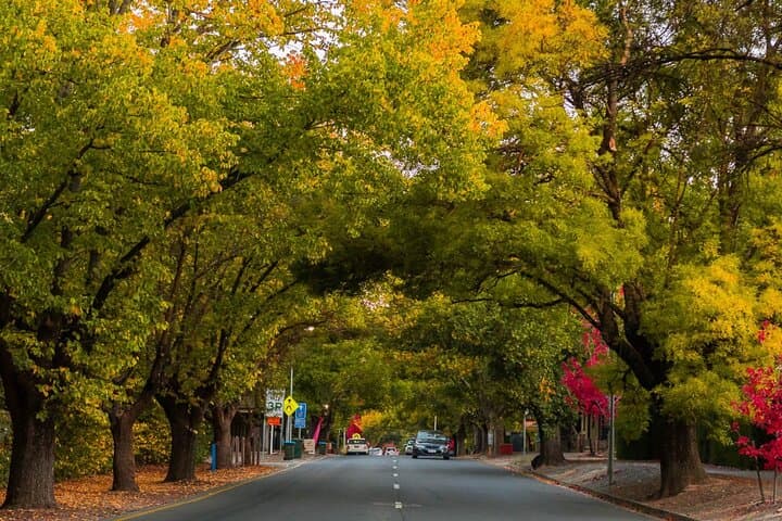 Half-Day Adelaide Highlights: Mount Lofty Summit & Hahndorf German Village Tour
