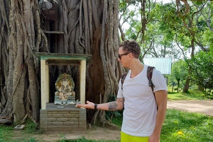 7-Day Sri Lanka Highlights: Sigiriya, Kandy, Ella, Yala & Galle