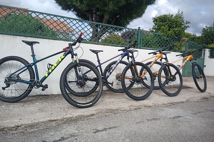 Coimbra Full-Day Bike Rental: Ride the Mondego, Choupal Forest & Penacova photo 3