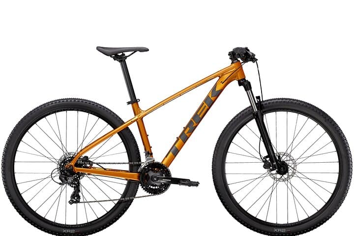 Coimbra Full-Day Bike Rental: Ride the Mondego, Choupal Forest & Penacova
