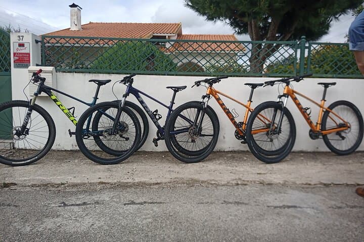 Coimbra Full-Day Bike Rental: Ride the Mondego, Choupal Forest & Penacova photo 2