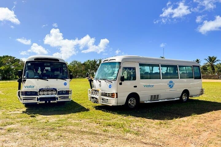 Punta Cana VIP Airport Transfers: Private Shuttle Between Punta Cana Airport and Bávaro