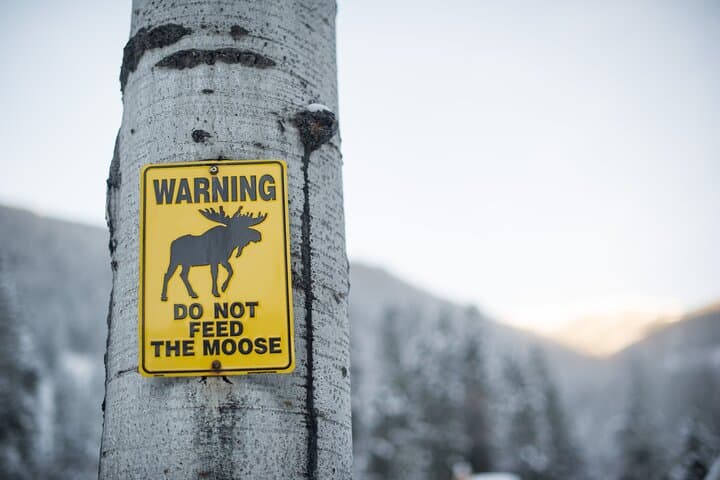 Banff Lost Towns Walking Tour: Coal-Era Ruins & Untold Stories photo 4