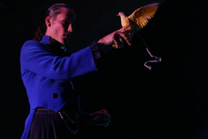 V — The Ultimate Variety Show at Planet Hollywood, Las Vegas: What to Expect & Tickets photo 6