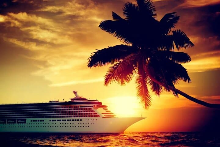 Private Limo-Style Sprinter Transfer Houston to Galveston Cruise Port photo 3