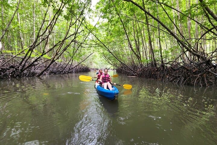 Half-Day Kayaking in Ao Thalane: Paddle Mangroves & Limestone Cliffs Near Krabi