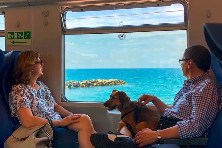 Cinque Terre Private Tour: Train, Trails & UNESCO Coastal Villages photo 5