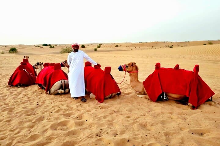 Camel Ride Safari in Dubai Red Dunes — 4-Hour Al Madam Desert Experience photo 4