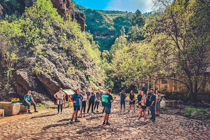 Gran Canaria Rainforest Day Tour: Azuaje Ravine Hike, Eco-Farm Tasting & El Puertillo Pools photo 2