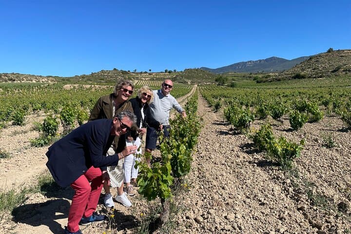 Rioja on Wheels: eBike Wine Tour from Bilbao to Laguardia photo 3