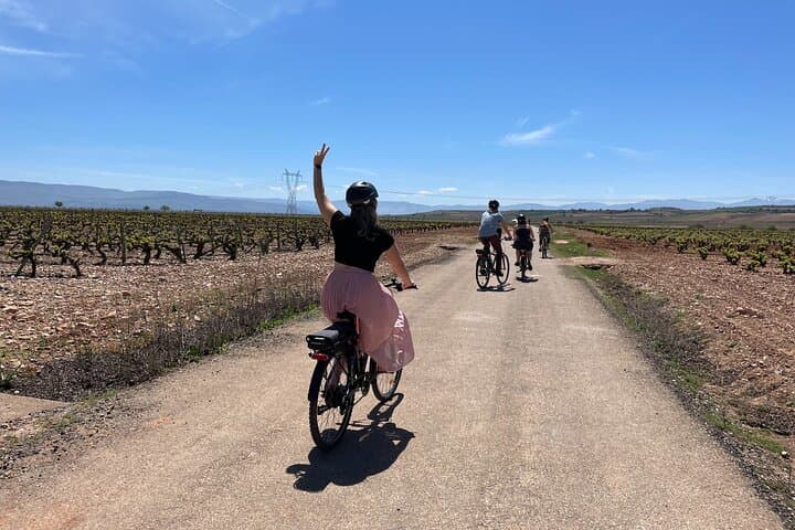 Rioja on Wheels: eBike Wine Tour from Bilbao to Laguardia