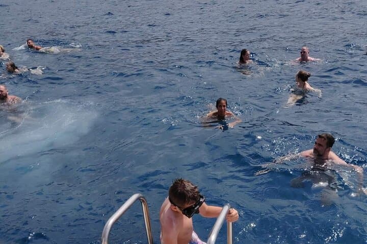 Costa Adeje Whale Watching Catamaran — 3-Hour Atlantic Cruise with Drinks & Sandwich photo 6