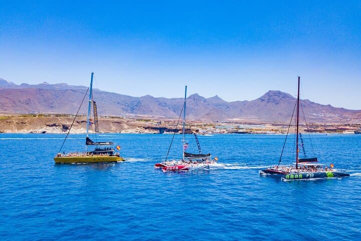 Sailing to Los Gigantes: Whale Watching from Costa Adeje photo 6