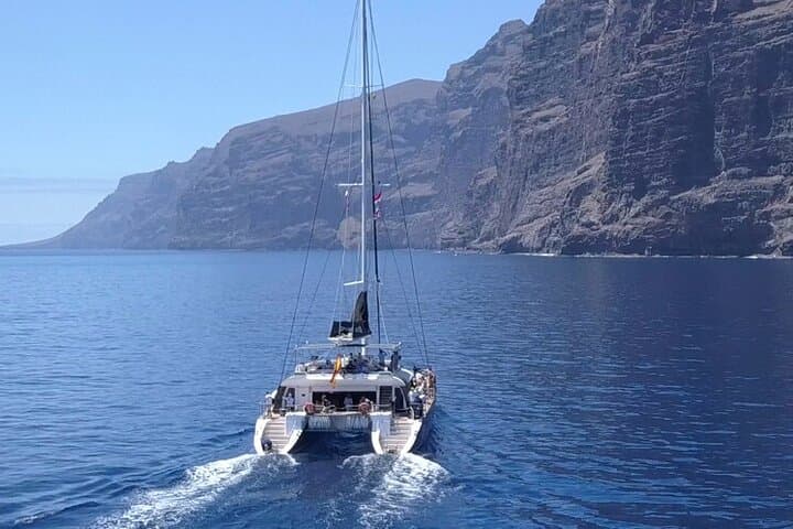 Sailing to Los Gigantes: Whale Watching from Costa Adeje