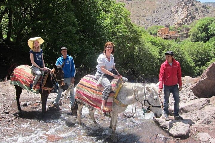 Full-Day Atlas Mountains Adventure from Marrakech: Quads, Camels & Berber Lunch photo 3
