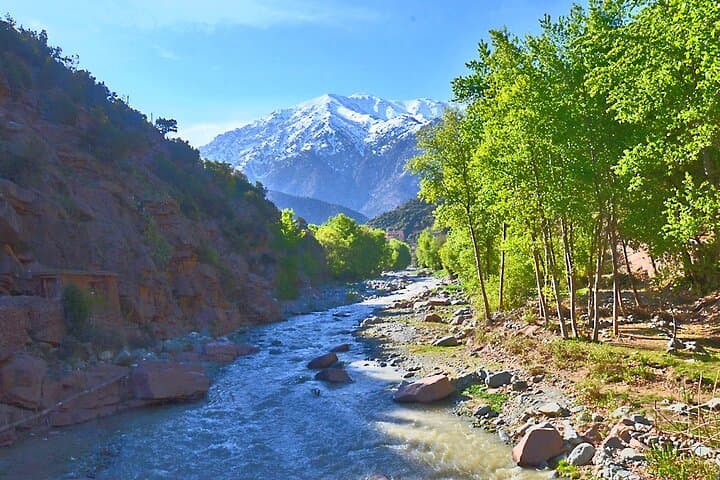 Full-Day Atlas Mountains Adventure from Marrakech: Quads, Camels & Berber Lunch photo 5