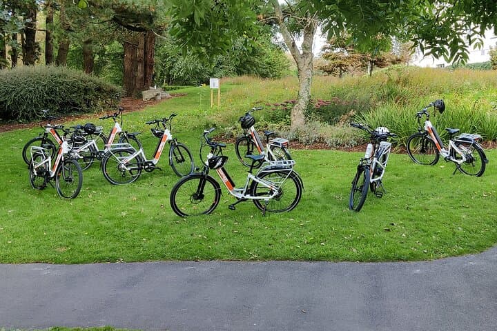 Galway E-Bike Scavenger Hunt: 2.5-Hour Electric Bike Adventure Through the City photo 5