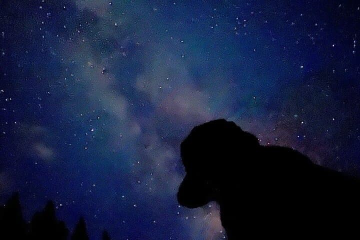 Banff Sunset & Stargazing Walking Tour — Cave and Basin Night Sky Experience photo 3