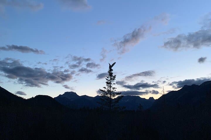 Banff Sunset & Stargazing Walking Tour — Cave and Basin Night Sky Experience photo 6