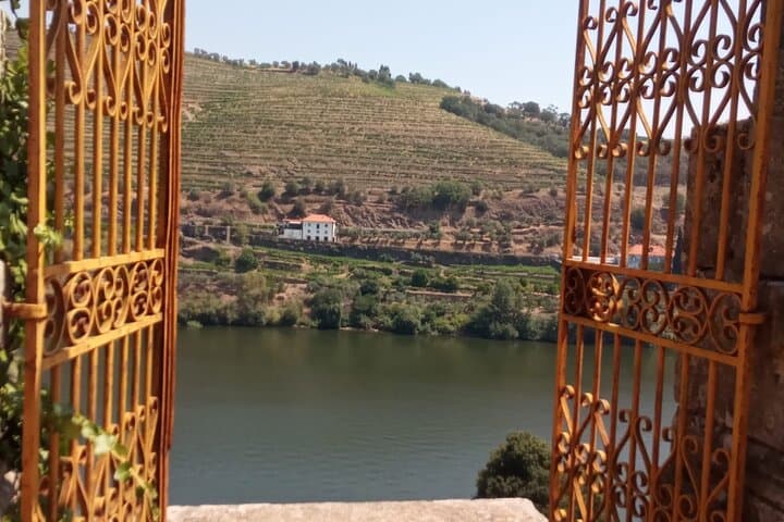 Douro Valley luxury walking tour with lunch at Quinta da Pacheca photo 5