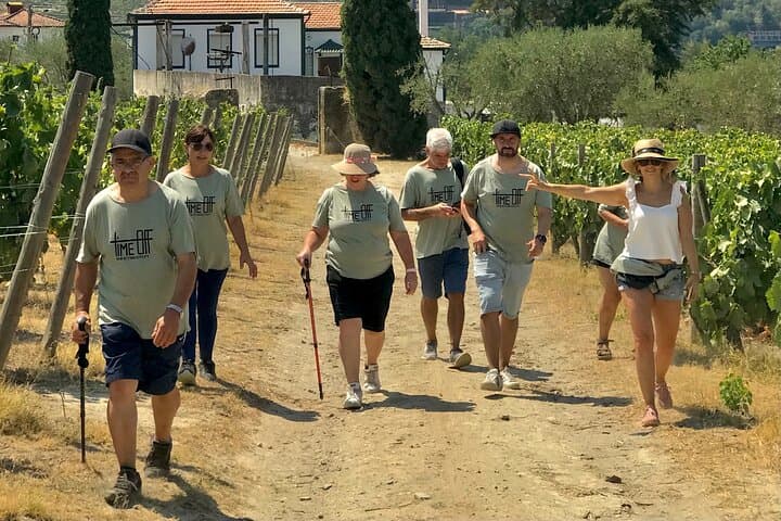 Douro Valley luxury walking tour with lunch at Quinta da Pacheca photo 6
