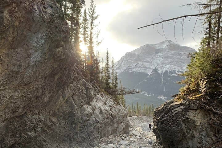 Canmore Grotto Canyon Hike: Canyons & Cave Paintings 2.5‑Hour Guided Experience photo 2