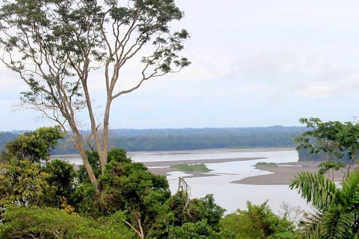 2-Day Yasuni & Taracoa Jungle Adventure: Canoes, Wildlife, and Indigenous Culture photo 3