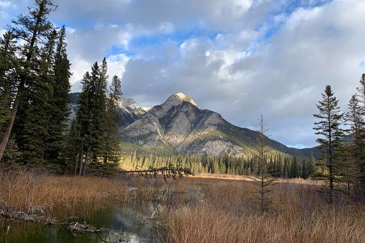 Canmore Wilderness & Wildlife Guided 2-Hour Walk photo 5