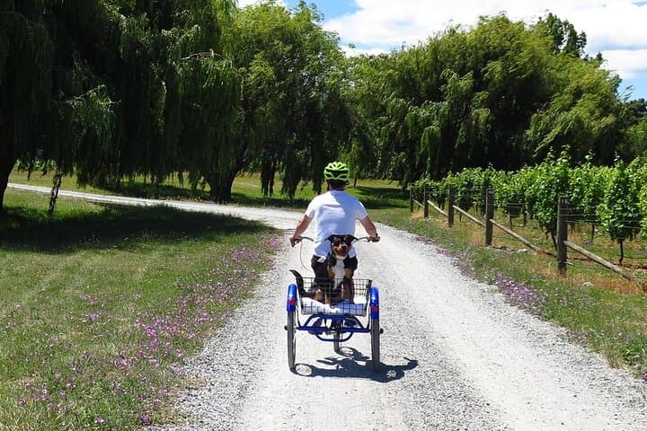 Renwick Vineyard Bike Tours: Self-Guided Cellar-Door Cycling in Marlborough photo 2