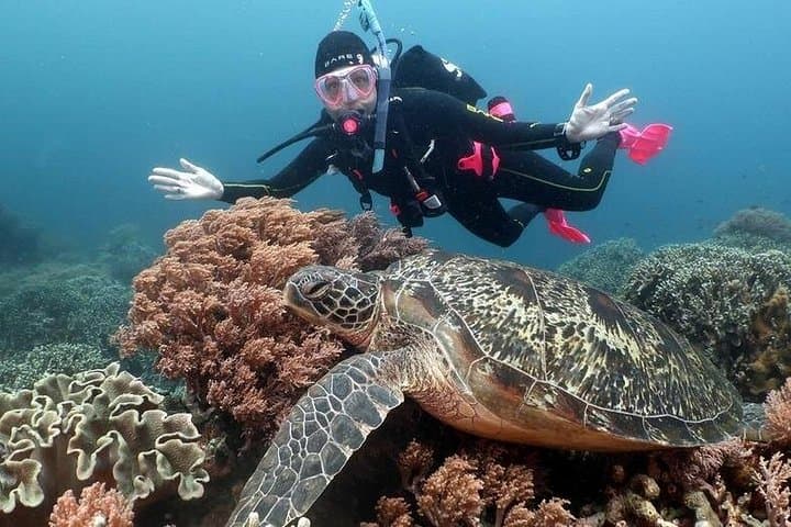 Ras Mohamed & White Island: VIP Snorkel and Dive Day Trip from Sharm El Sheikh photo 1