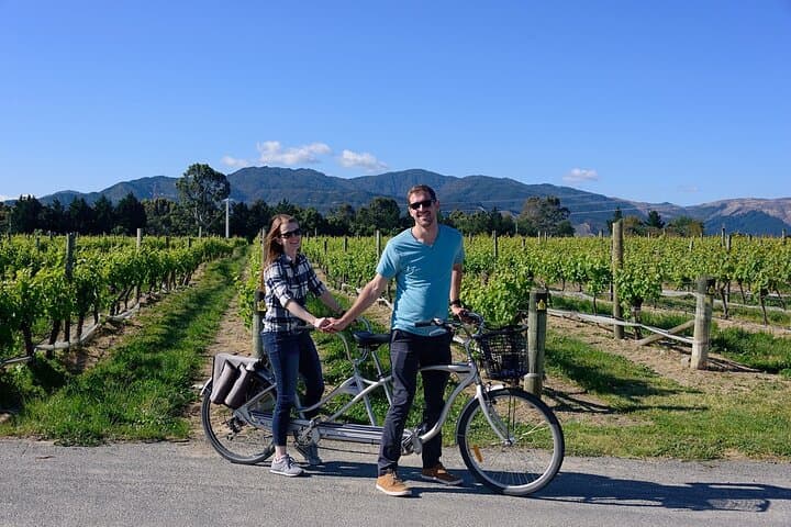 Renwick Vineyard Bike Tours: Self-Guided Cellar-Door Cycling in Marlborough photo 4