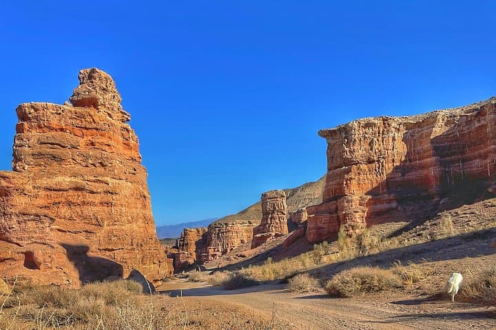 Charyn Canyon Private Tour from Almaty — Valley of Castles Day Trip photo 4