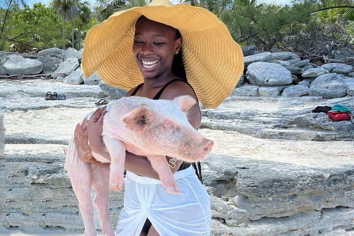 Rose Island Swimming Pigs: Nassau Day Trip to Swim with the Famous Bahamian Pigs photo 3